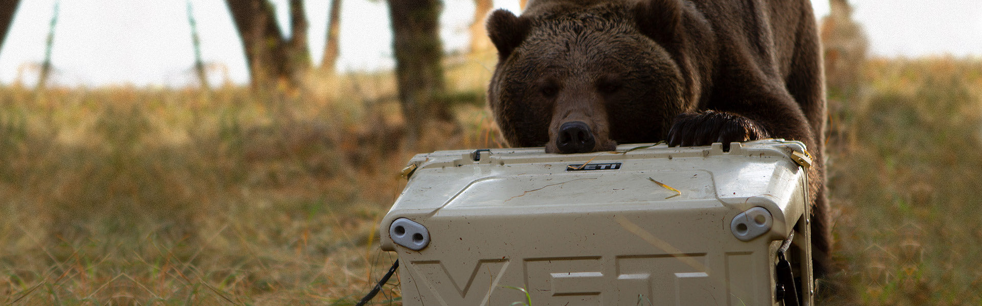 YETI cooler in the wild